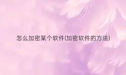 怎么加密某个软件(加密软件的方法)