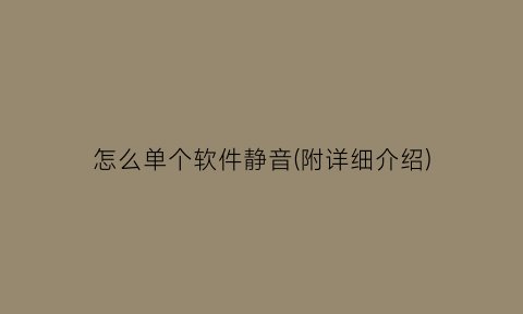 “怎么单个软件静音(附详细介绍)