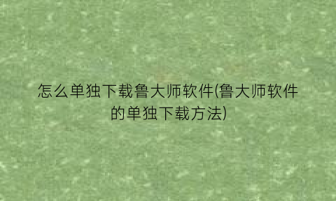 怎么单独下载鲁大师软件(鲁大师软件的单独下载方法)