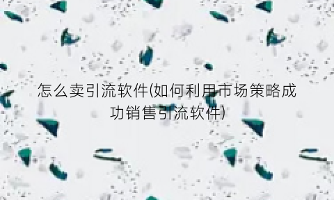 怎么卖引流软件(如何利用市场策略成功销售引流软件)