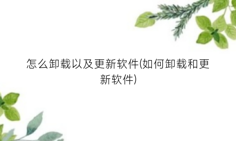 怎么卸载以及更新软件(如何卸载和更新软件)