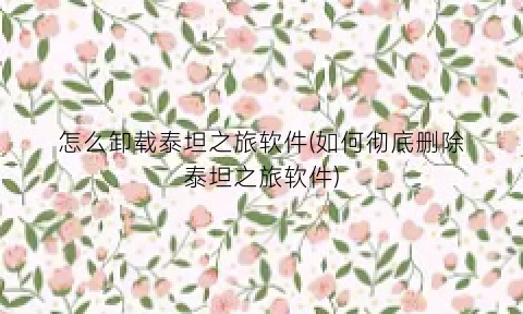 怎么卸载泰坦之旅软件(如何彻底删除泰坦之旅软件)