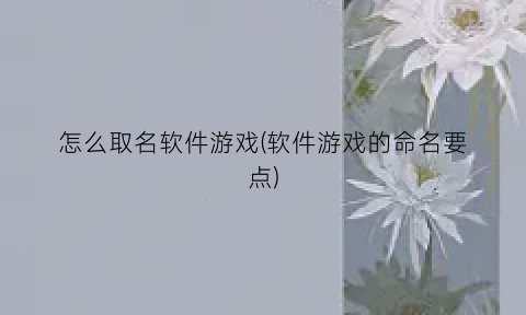 怎么取名软件游戏(软件游戏的命名要点)