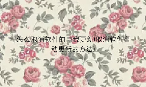 怎么取消软件的自我更新(取消软件自动更新的方法)