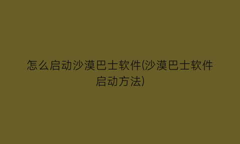 怎么启动沙漠巴士软件(沙漠巴士软件启动方法)