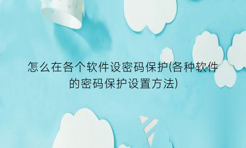 “怎么在各个软件设密码保护(各种软件的密码保护设置方法)