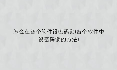 怎么在各个软件设密码锁(各个软件中设密码锁的方法)