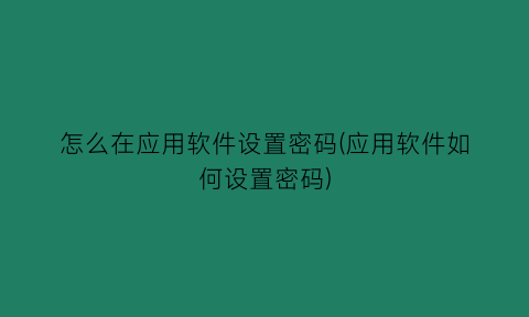 怎么在应用软件设置密码(应用软件如何设置密码)