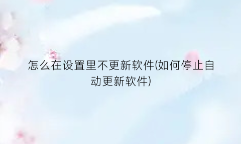 “怎么在设置里不更新软件(如何停止自动更新软件)