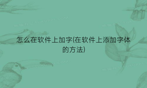 怎么在软件上加字(在软件上添加字体的方法)