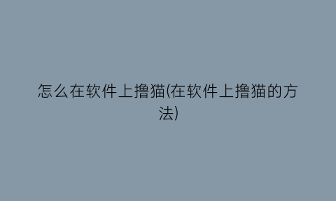 怎么在软件上撸猫(在软件上撸猫的方法)