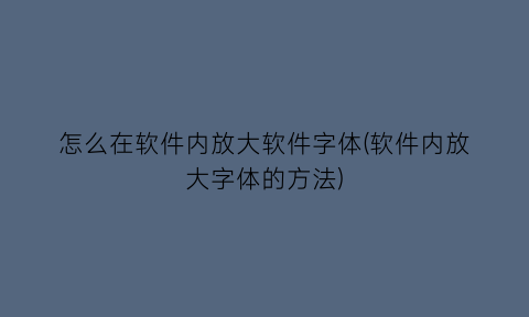 怎么在软件内放大软件字体(软件内放大字体的方法)