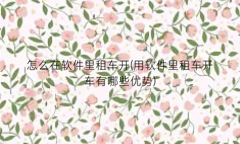 怎么在软件里租车开(用软件里租车开车有哪些优势)