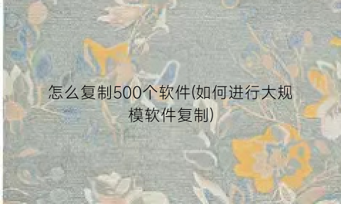 怎么复制500个软件(如何进行大规模软件复制)