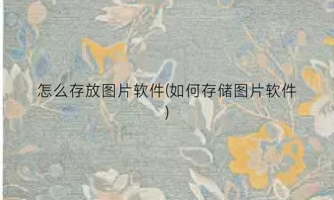 “怎么存放图片软件(如何存储图片软件)