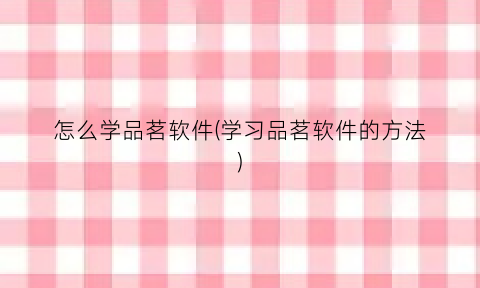 “怎么学品茗软件(学习品茗软件的方法)