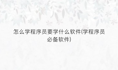 “怎么学程序员要学什么软件(学程序员必备软件)