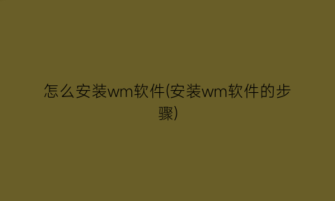 怎么安装wm软件(安装wm软件的步骤)