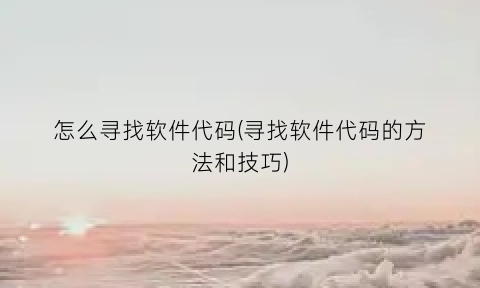 怎么寻找软件代码(寻找软件代码的方法和技巧)