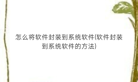 怎么将软件封装到系统软件(软件封装到系统软件的方法)