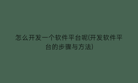 “怎么开发一个软件平台呢(开发软件平台的步骤与方法)