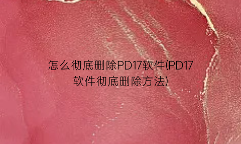 怎么彻底删除PD17软件(PD17软件彻底删除方法)