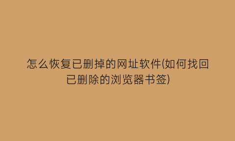 怎么恢复已删掉的网址软件(如何找回已删除的浏览器书签)