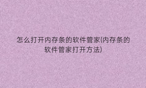 怎么打开内存条的软件管家(内存条的软件管家打开方法)