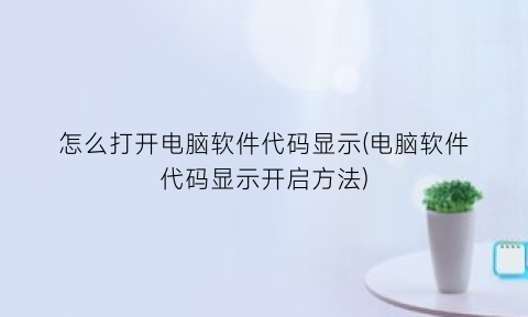 怎么打开电脑软件代码显示(电脑软件代码显示开启方法)