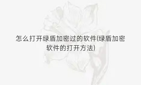 怎么打开绿盾加密过的软件(绿盾加密软件的打开方法)