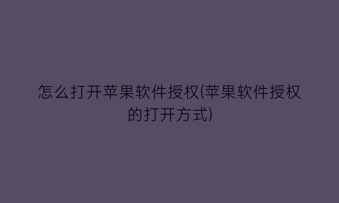 怎么打开苹果软件授权(苹果软件授权的打开方式)