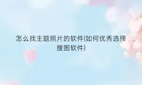 怎么找主题照片的软件(如何优秀选择搜图软件)