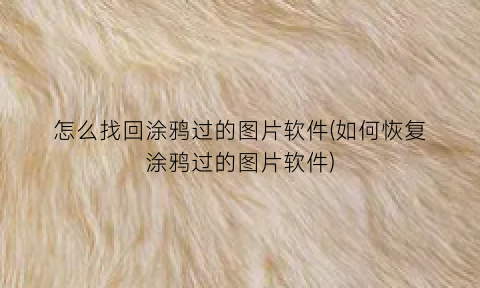 怎么找回涂鸦过的图片软件(如何恢复涂鸦过的图片软件)