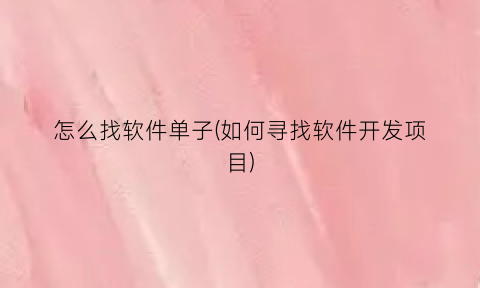 怎么找软件单子(如何寻找软件开发项目)