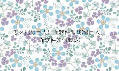 怎么把绿巨人里面软件卸载(绿巨人里面软件如何卸载)