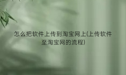 “怎么把软件上传到淘宝网上(上传软件至淘宝网的流程)