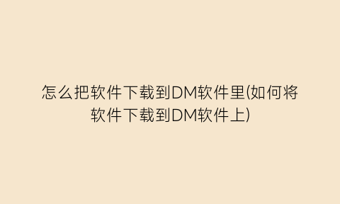 怎么把软件下载到DM软件里(如何将软件下载到DM软件上)