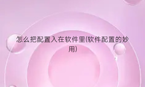 怎么把配置入在软件里(软件配置的妙用)