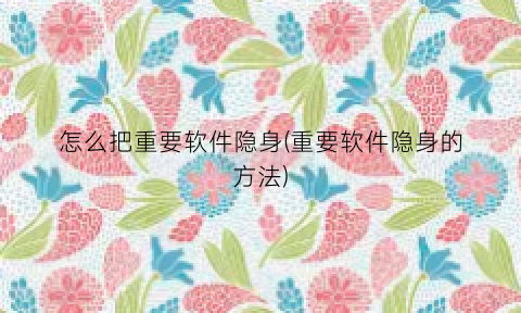 “怎么把重要软件隐身(重要软件隐身的方法)