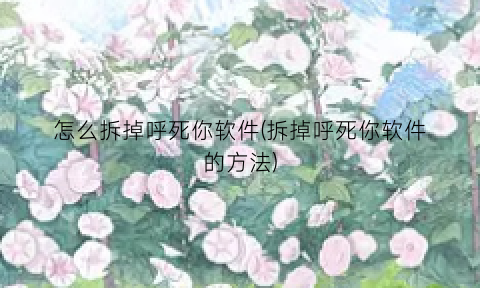 怎么拆掉呼死你软件(拆掉呼死你软件的方法)