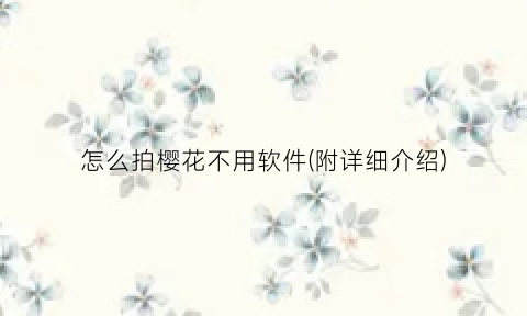 怎么拍樱花不用软件(附详细介绍)