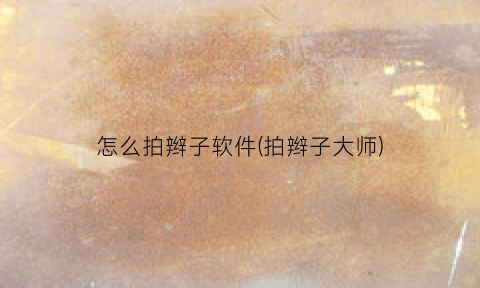 怎么拍辫子软件(拍辫子大师)