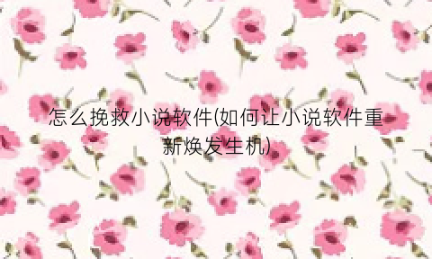 “怎么挽救小说软件(如何让小说软件重新焕发生机)