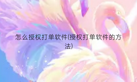 “怎么授权打单软件(授权打单软件的方法)