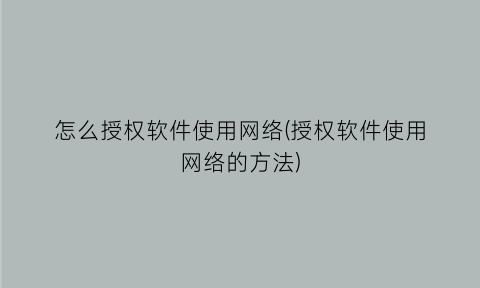 怎么授权软件使用网络(授权软件使用网络的方法)