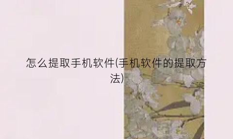 怎么提取手机软件(手机软件的提取方法)