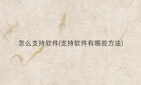 怎么支持软件(支持软件有哪些方法)