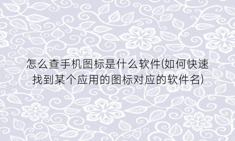 怎么查手机图标是什么软件(如何快速找到某个应用的图标对应的软件名)