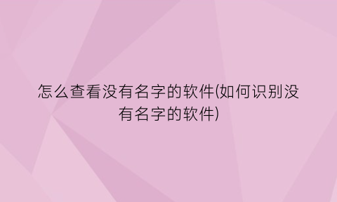怎么查看没有名字的软件(如何识别没有名字的软件)