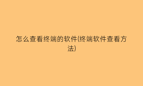 怎么查看终端的软件(终端软件查看方法)